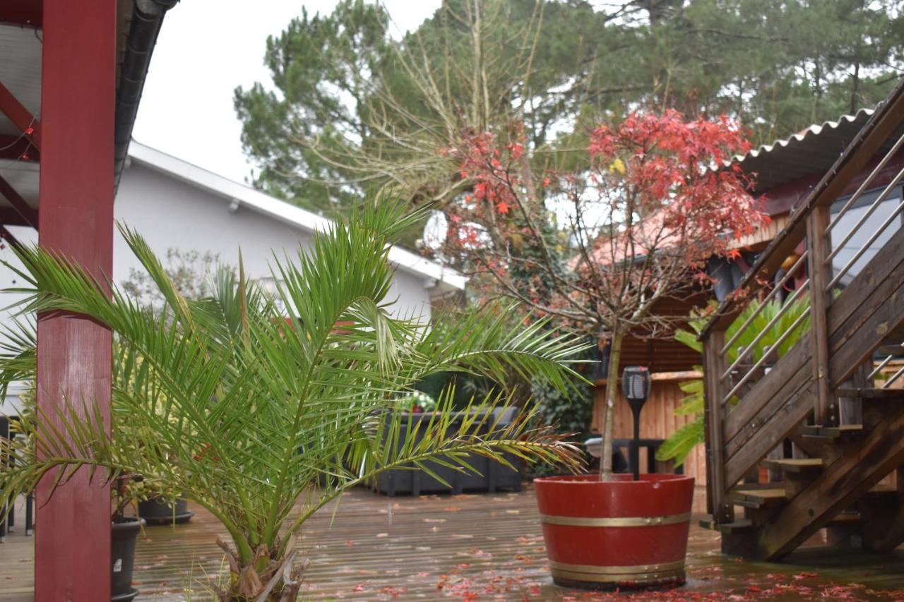 Chez Augustin Bed & Breakfast Lacanau Exterior foto